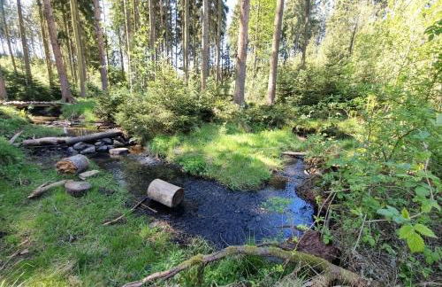 Tiny House - Auszeit im Wald am Badesee - Foto 46