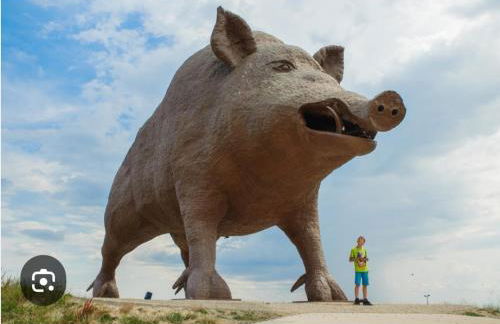 La Rose du Bel Homme - Foto 21