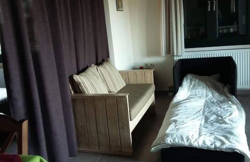 Morchella MushROOM - Foto 16