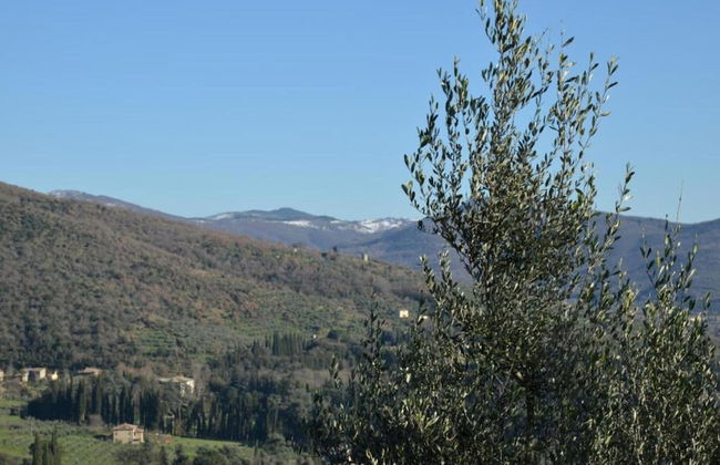 Villa in Cortona With Pool & Countryside Views - Foto 23