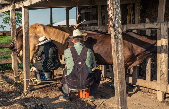 Excursión a los campos menonitas de Cuauhtémoc - Foto 2