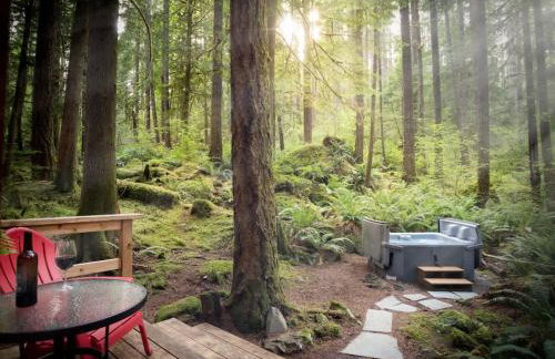 Treetop Hideaway, Sleeps 2 - Foto 23
