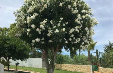 Cegonha Villa powered by Cegonha Resort- Private swimming pool & air con - Foto 31