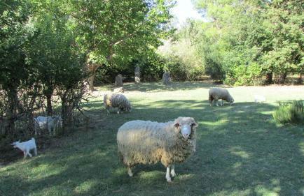 Agriturismo "Borgo Madonna degli Angeli" - charming cottages in the gardens ! - Foto 80