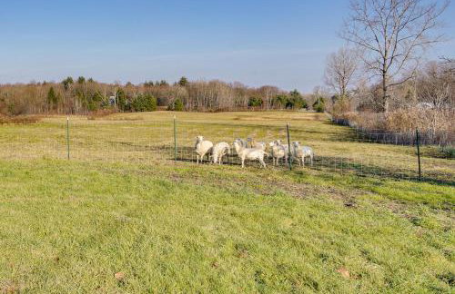 Altmar Vacation Rental about 4 Mi to Salmon River! - Foto 35