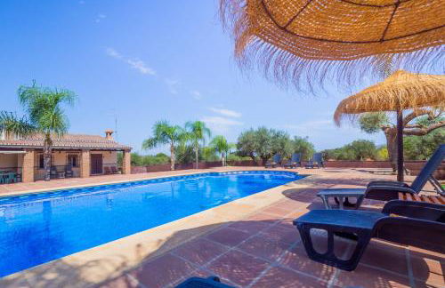 Cubo's Finca Los Acebuches - Photo 5