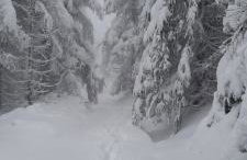 Dom Gościnny Zarembianka - Foto 48