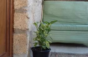 Casinha de Lamares - Foto 11