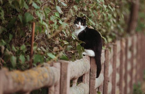 Ośrodek Wypoczynkowy WEZAJ - Foto 28