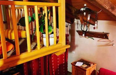 Il nocciòlo di Daisy - Foto 15