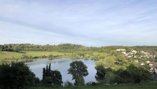 Ferienhaus Schöner Maarblick - Foto 4