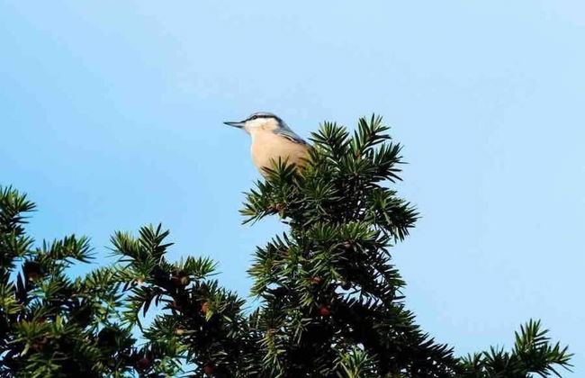 Studio/lickey Hills/near Attractions/garden/petok - Foto 24