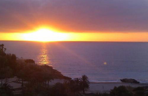 Sol Mediterráneo - Palm Beach 8 - Photo 15