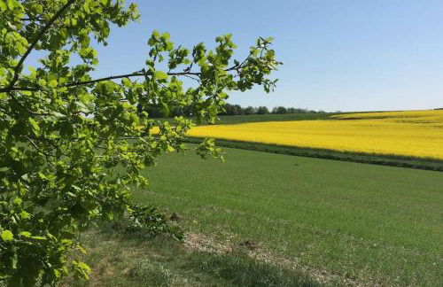 Wohnen direkt am Moselstrand - Foto 44