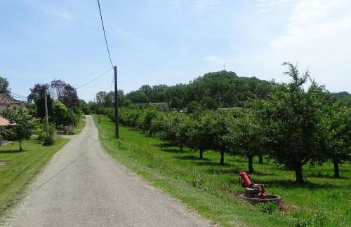 Le Vieux Manoir - Foto 13