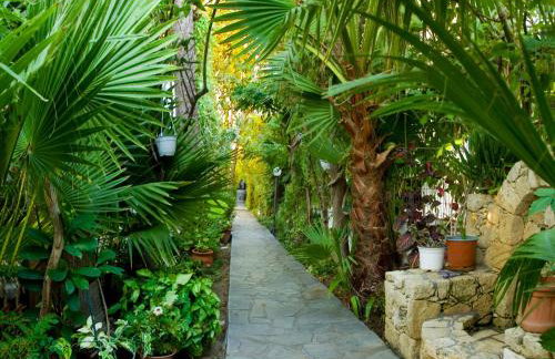 Villa Anna - Foto 20