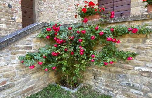 Agriturismo Popolano Di Sotto - Foto 57