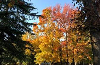 L'ORCHIDHEA APARTMENT - Foto 37