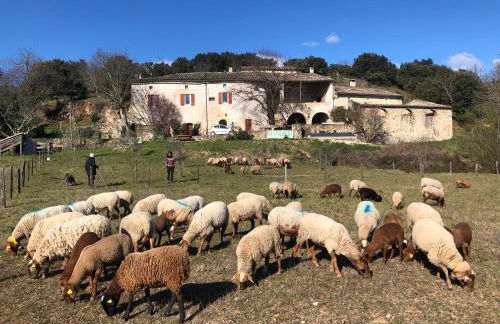 Gîtes La ferme accrochée à la colline - Foto 16