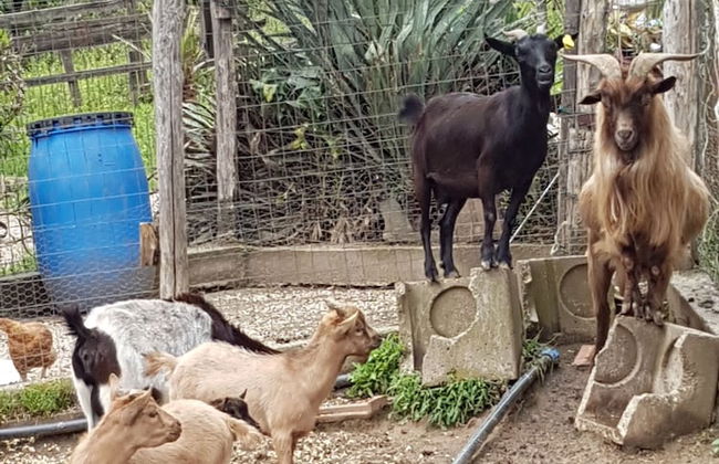 Agriturismo Cisogna - Foto 24