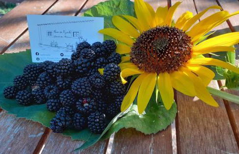 CASA DA VIZINHA, QUINTA DAS MEMÓRIAS - Foto 5