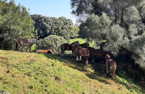 El Cantón de Poo, agradable casa adosada a 800m de la playa VV-2256-AS - Foto 31