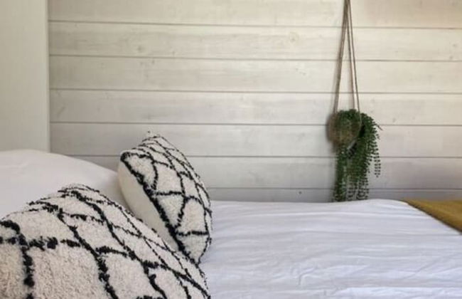 Bed aan zee Zandvoort - Foto 13