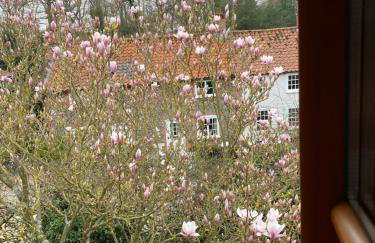 Foxgloves self catering - Foto 18