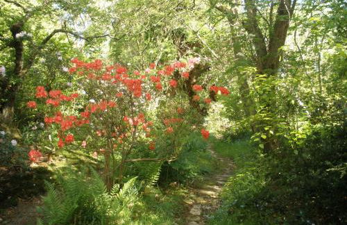 Lastingham Grange - Foto 64