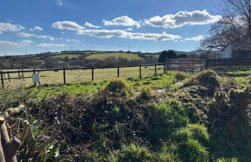 Cabin centrally Located in the Cornish Countryside - Foto 30