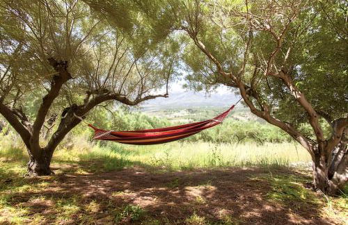 5-bedroom Country House in Crete - Olive Grove Retreat - Foto 38