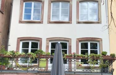 Les Corbelles, duplex hyper centre - Foto 9