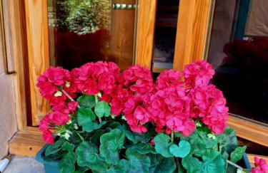 La Frisanfave, Maison de village, centre 65M2 - Photo 11