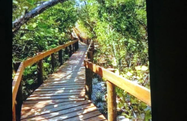 Guanica Malecon Bay House - Foto 26