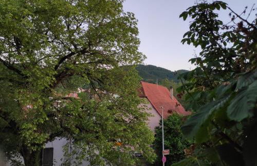 Ferienwohnungen und Zimmer in Reutlingen-Gönningen - Foto 9