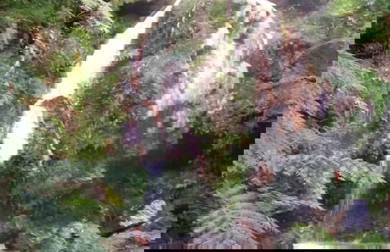 Cozy Vacation Rental in Ponta Delgada - Ideal for Relaxing Getaways - Foto 27