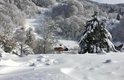 Maison Grande Verrerie 6 personnes RIBEAUVILLE - Foto 15