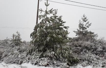 Fisgas Cabana - Foto 44