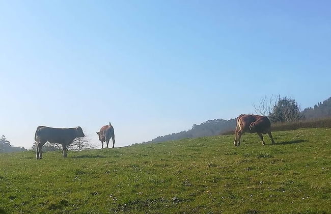 La Casona De Tresgrandas - Foto 31