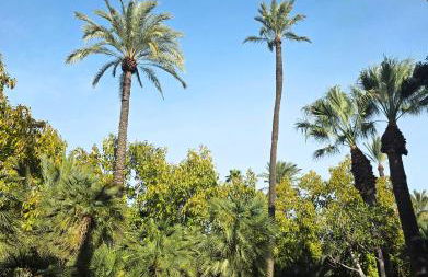 Apartment La Siesta - Foto 21