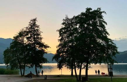 Apartment Harmony - Ischia - Lago di Caldonazzo - Foto 4