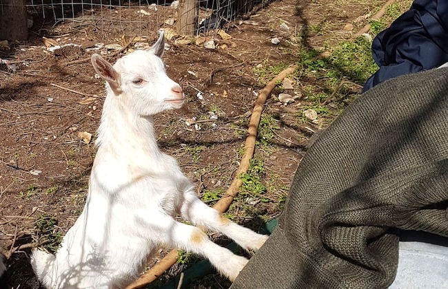 Le Radici Casa Vacanze - Foto 49