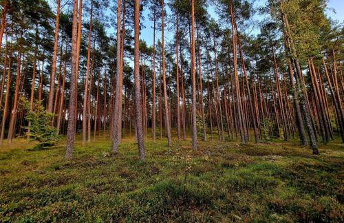 Domek de Janauis - Foto 73