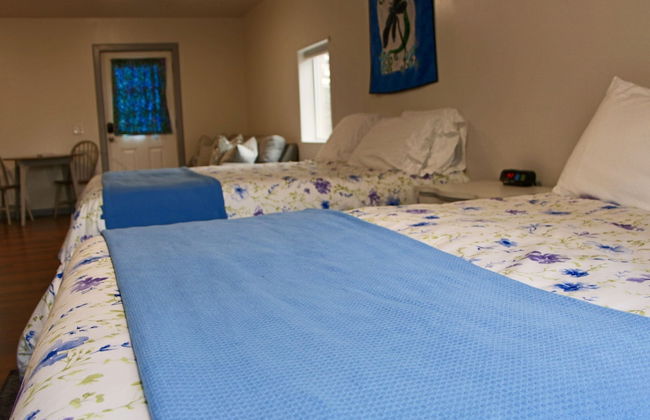 Arctic Dragonfly Inn - Foto 7