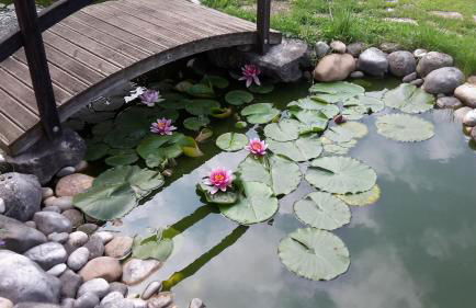 Le Grangeon 01 - Foto 63