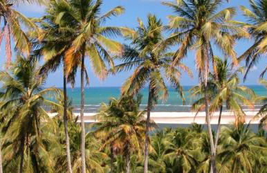 Barravilha Chales - Foto 14