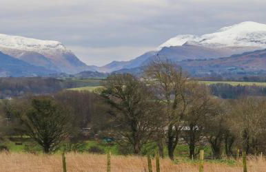Tal Sarn Shepherd Hut - Foto 17