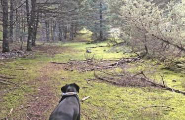 Hideaway Chalets I - Foto 34