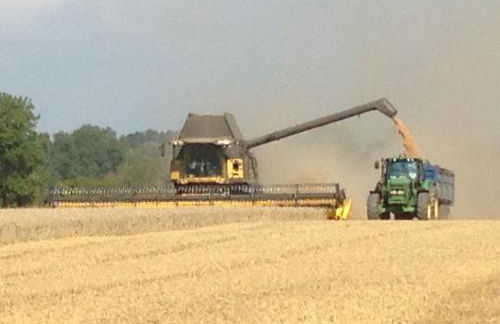 The Cobbles - Photo 20