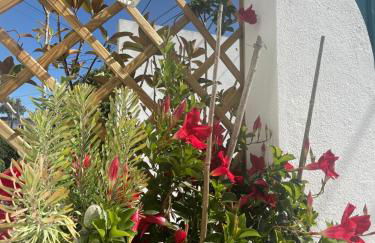 Casa Pátio country house - Foto 64